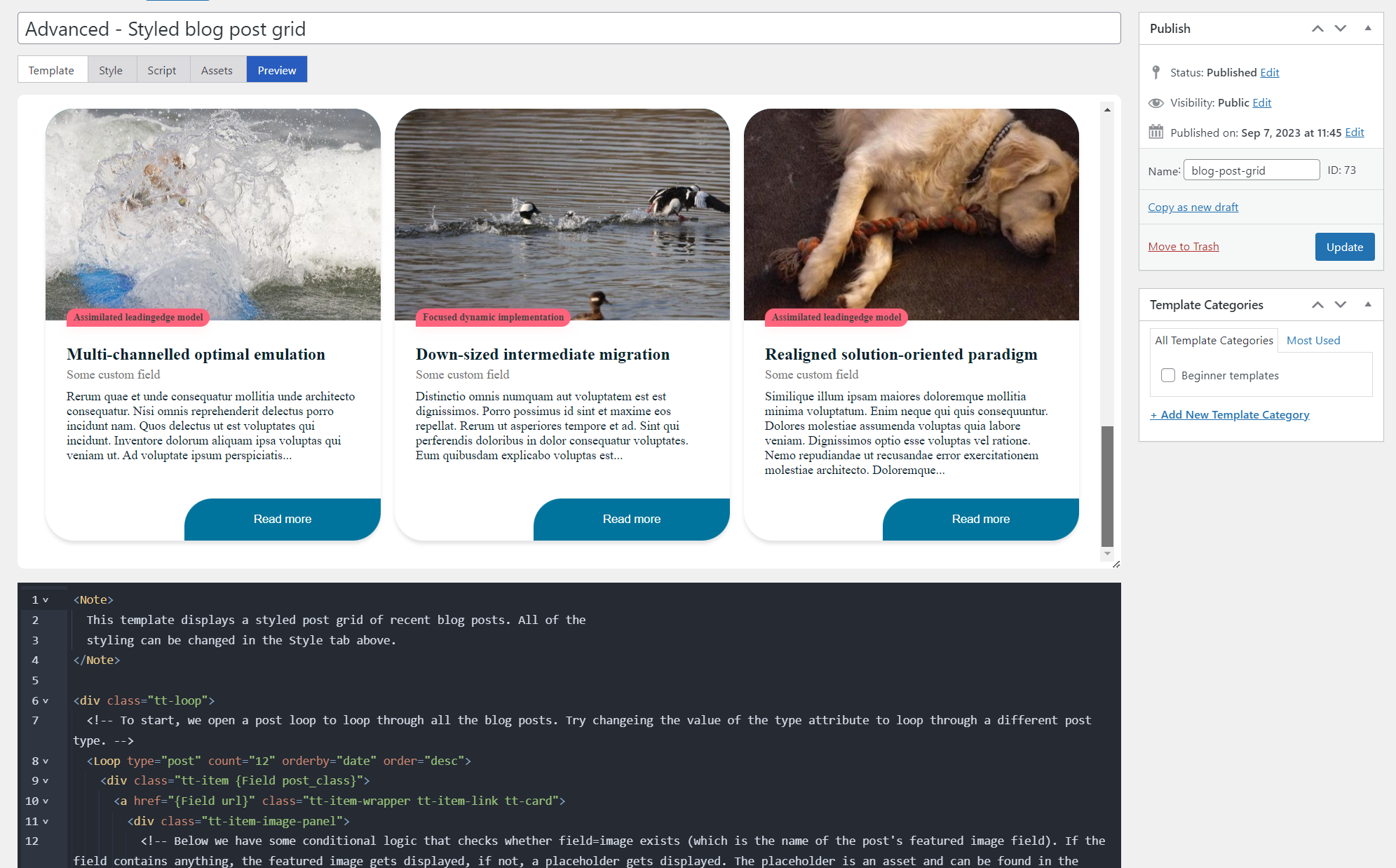 Update: template previews and new code editor in versions 4.0.0 to 4.0. ...